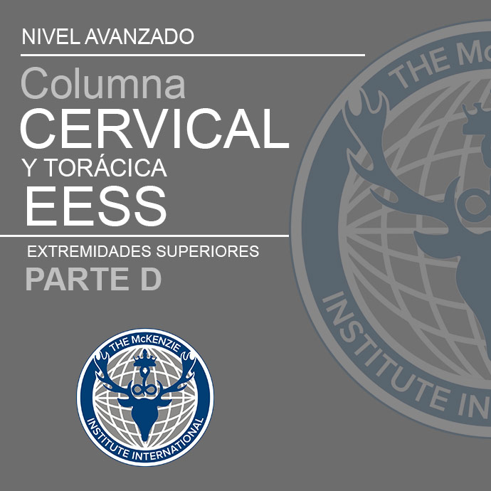 D CURSOS 25 26 MINIMAL 1